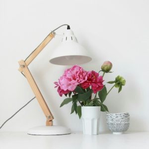 Insightmind hyperlight desk lamp 1
